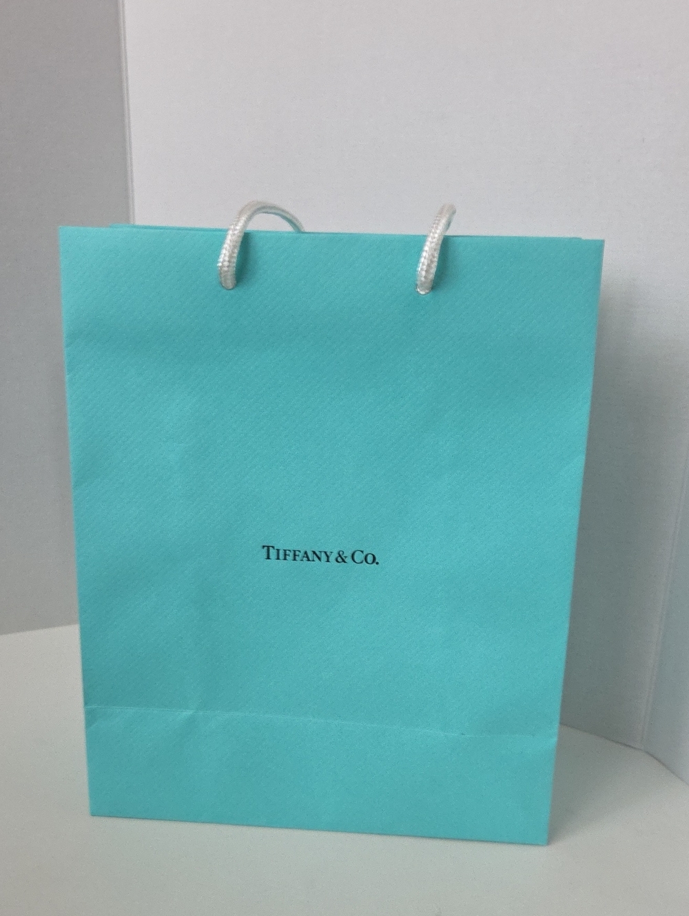 Tiffany & Co. Robin Egg Blue Paper Tote with White Rope Handles 10" x 8" x 4"